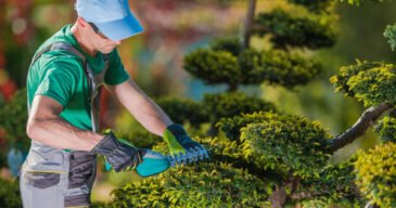 creer-entreprise-jardinier-paysagiste