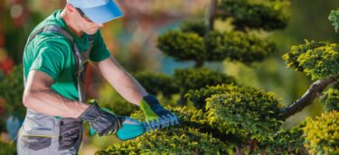 creer-entreprise-jardinier-paysagiste